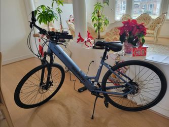Schwinn eBike