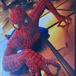 Spiderman 1+ 2+3 Special Edition widescreen 