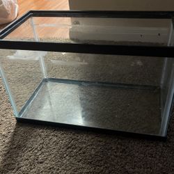 10 Gallon Fish Tank & Supplies!