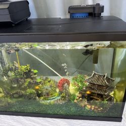 Fish Tank Aquarium 10 gallon 