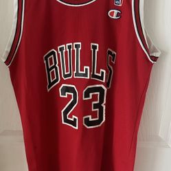 Vintage 90s Champion Michael Jordan Jersey 