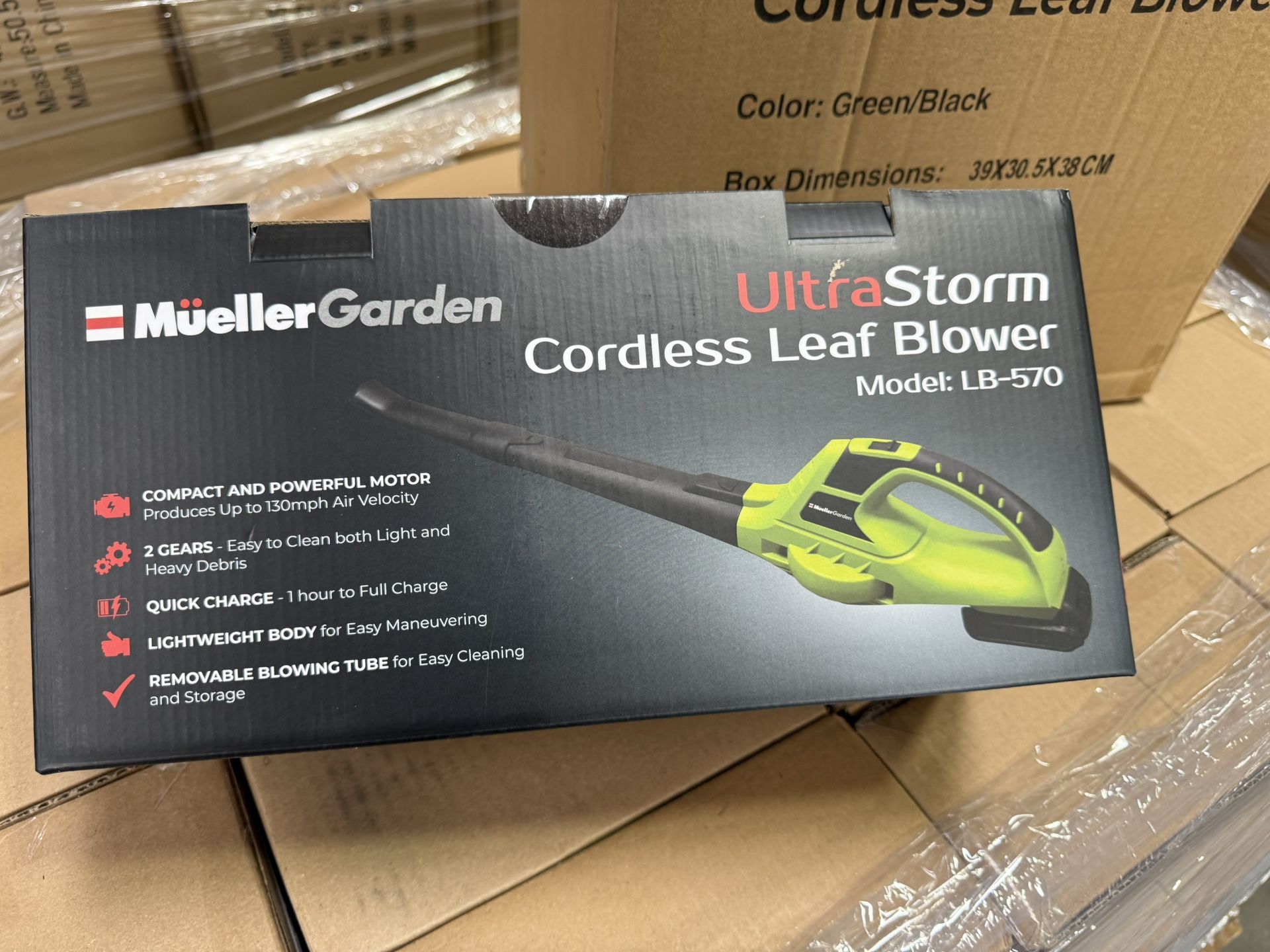 Leaf Blower With Battery $30