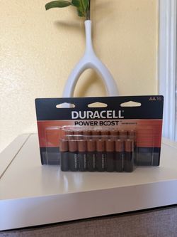 Duracell  AA