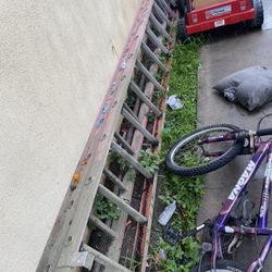 14ft Ladder 