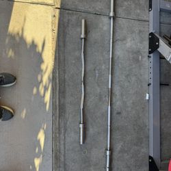 Barbell And Curl Bar