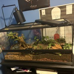 Bioactive enclosure - Ready for new pet!