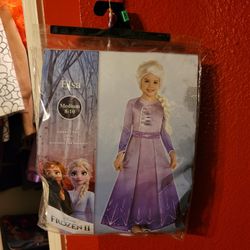 Frozen- Elsa Costume
