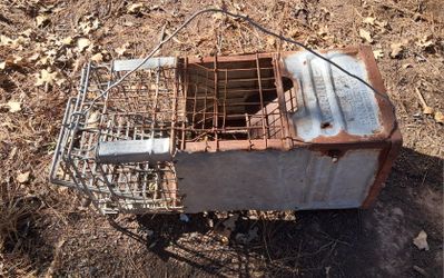 Humane Trap