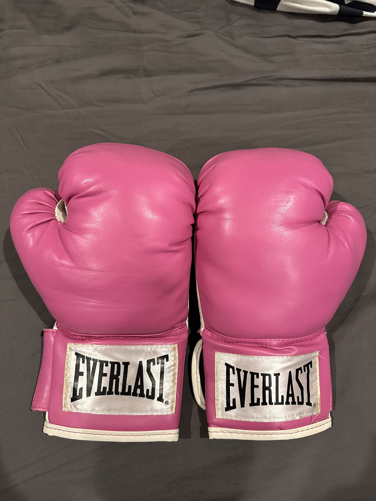 Everlast Boxing Gloves