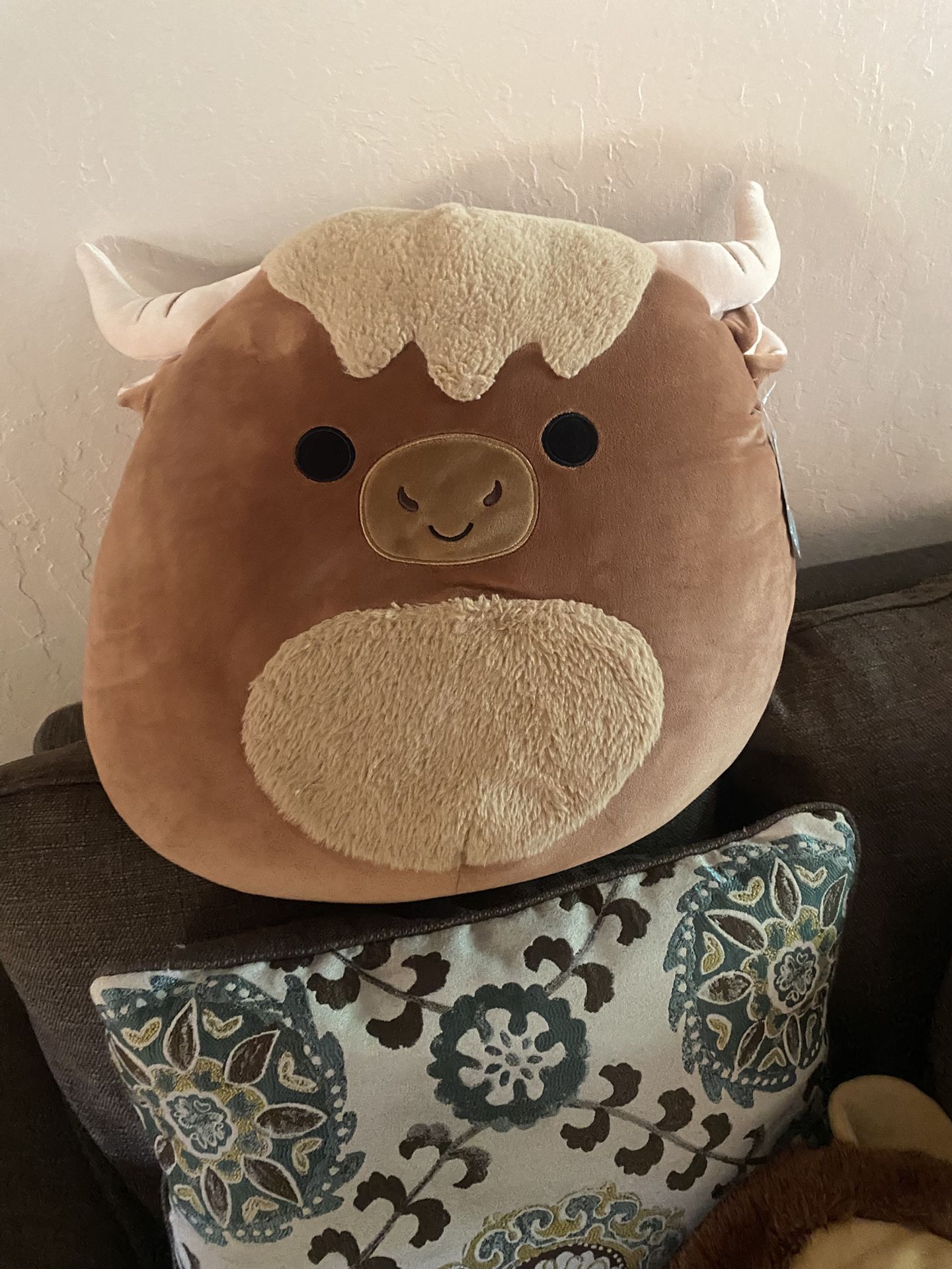 bull squishmallow with tag on