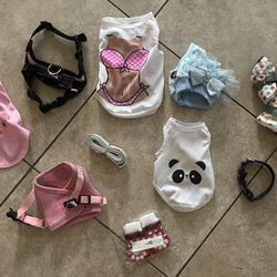 Dog Accessories 