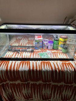 Fish tank ( 20 gallon long )