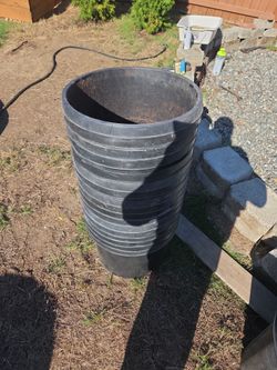 Free planter pots federal way