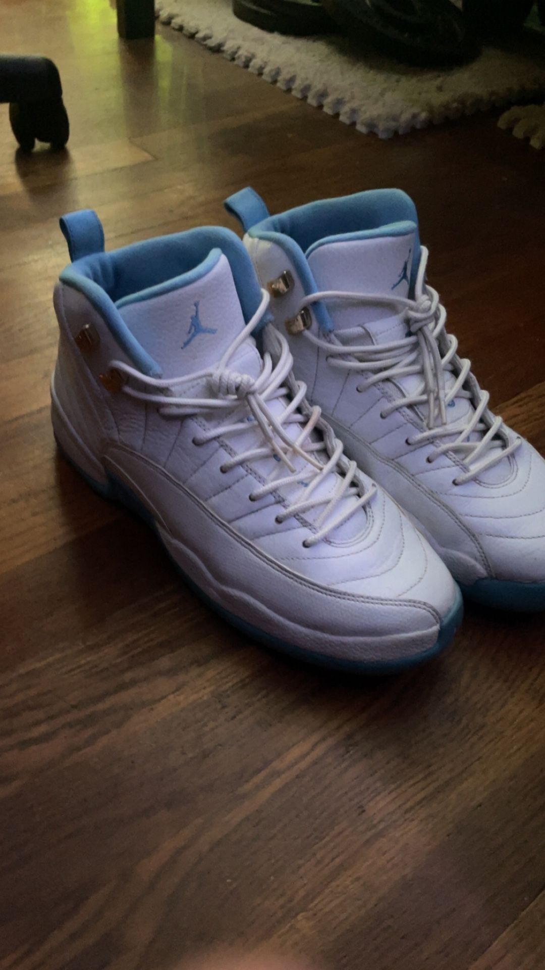 Jordan 12s