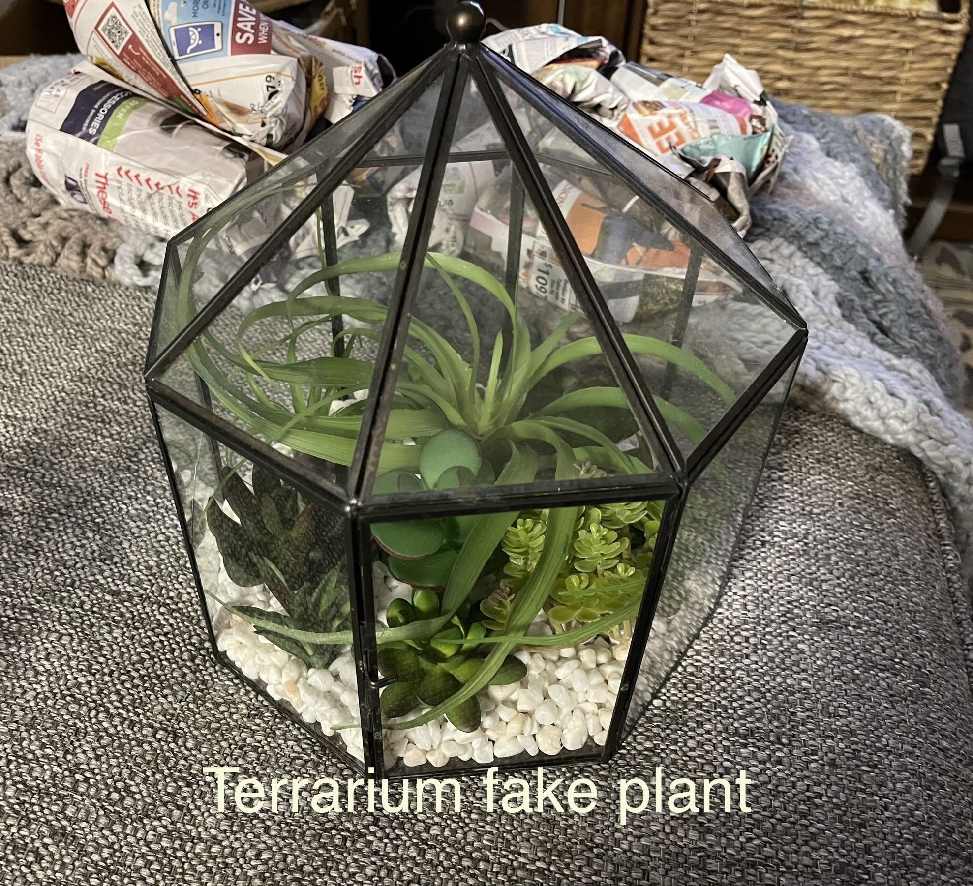 Terrarium Plant Decor 