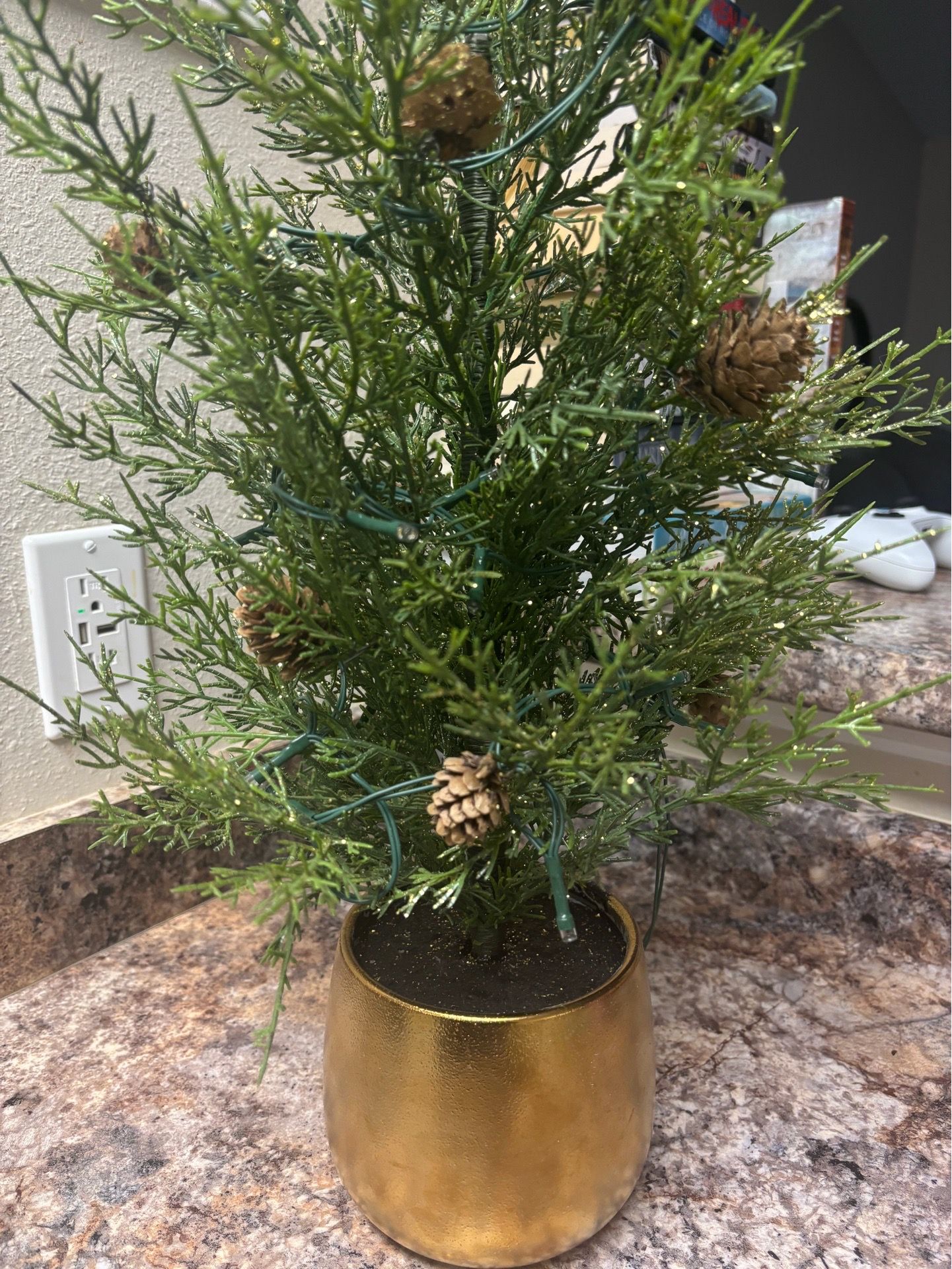 Small decorative tree