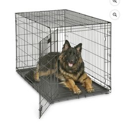 Folding Dog Crate