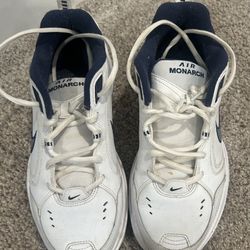 Nike Shoes 