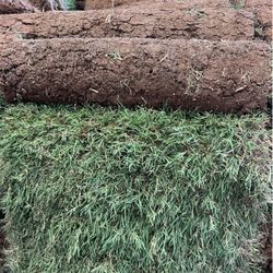 Grass Sod For Sale