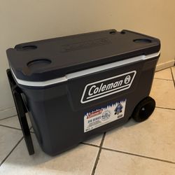 Camping Cooler 
