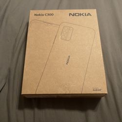 Nokia C300 Cellphone (Unlocked)