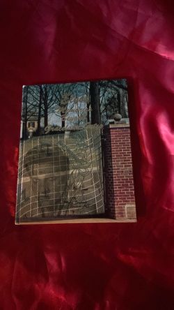 Elvis Memories Beyond Graceland Gates