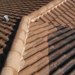 Roof Cleaning 