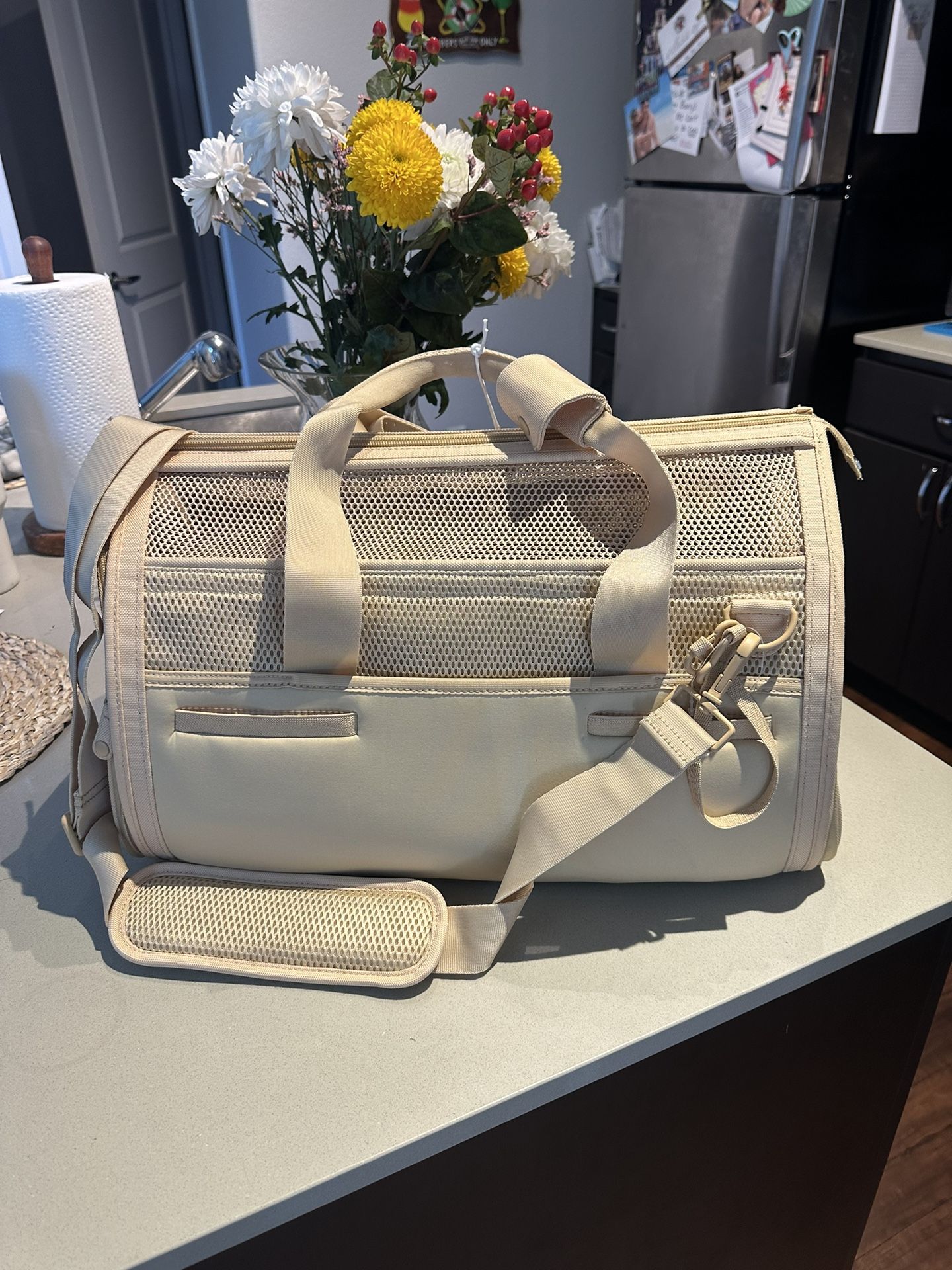 Wild One Pet Travel Carrier 