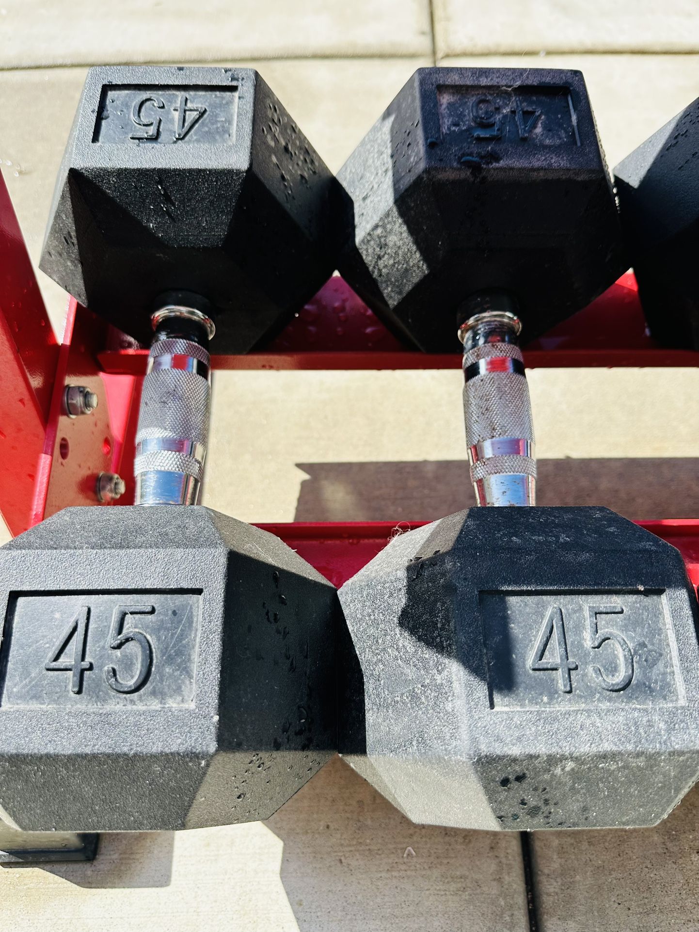 45 Lb Dumbbells