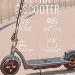 Hover Alpha Scooter
