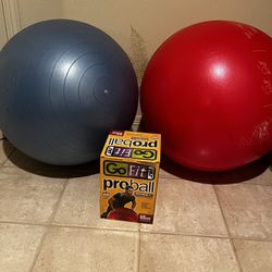 2  Exercise Balls With DVD and Pump 