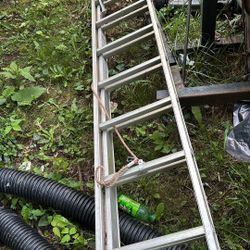 Extension Ladder 