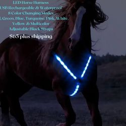Brand New LED Horse Harness