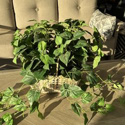 19” Silk Philodendron Plant In Wicker Basket