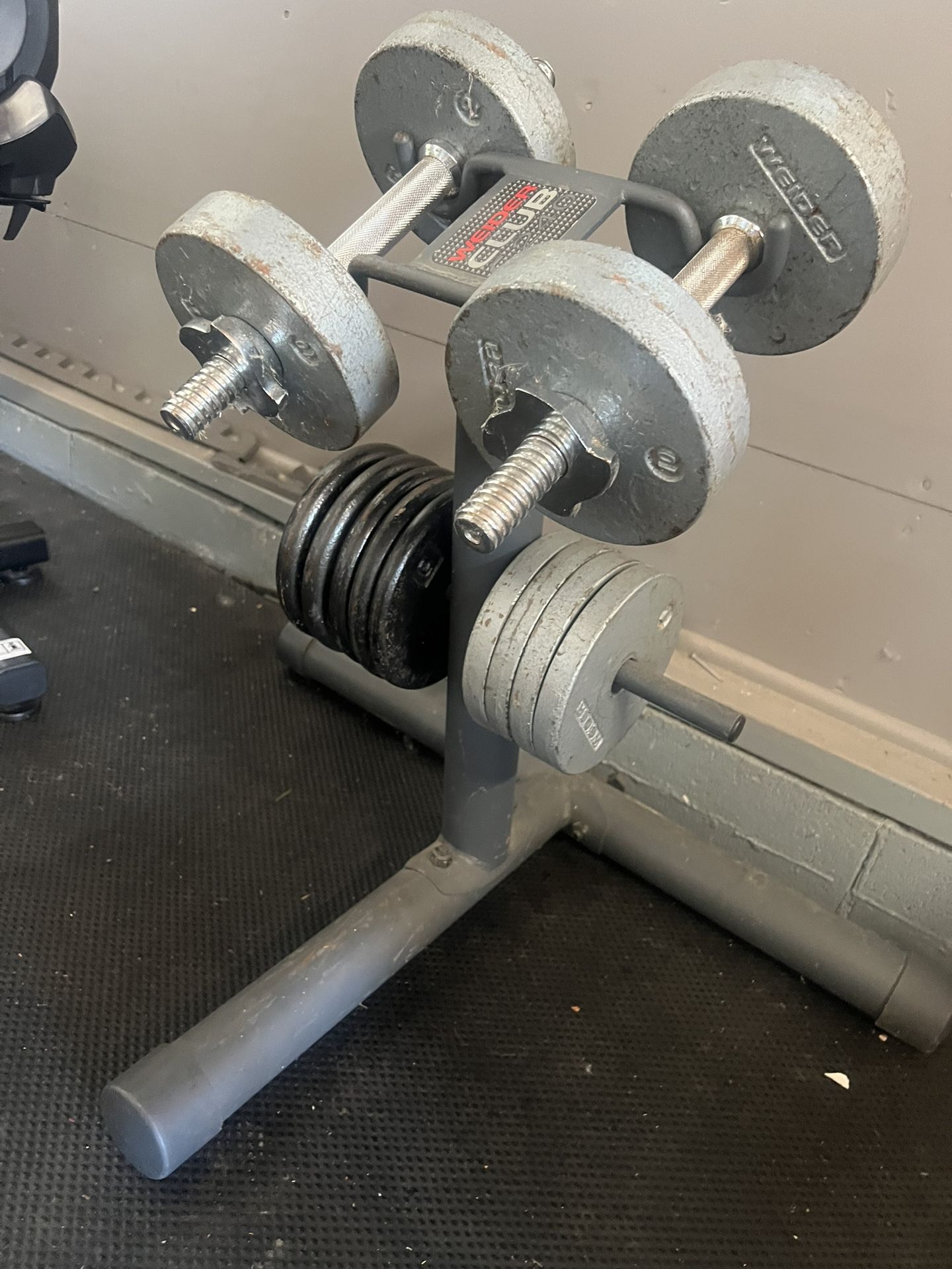 1 Inch Standard Dumbbell Weight Set With Stand
