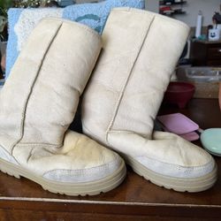 Uggs Size 7