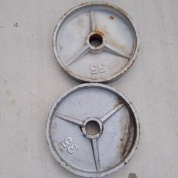 Two 35lb Weight Plates 