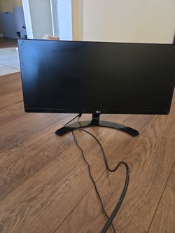 LG 29' monitor