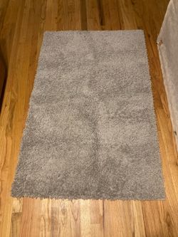 56x36 Gray Shag Area Rug Soft Plush