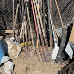 Junk And Not Junk Yard