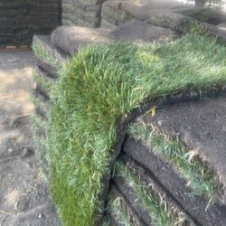 Grass And Sprinklers $3 Per Sq/ Ft