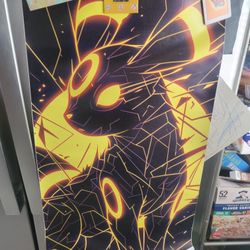 Pokemon  Vinyls 