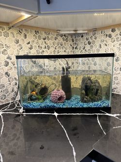 10 Gallon fish tank