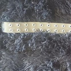 Clear Belt with Metal Grommets