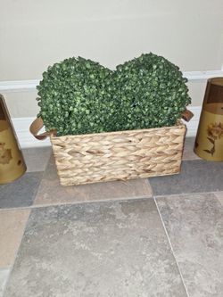 2 Boxwood Spheres With Basket