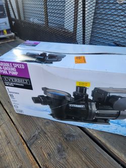 Everbilt 1hp Variable Speed Pool Pump