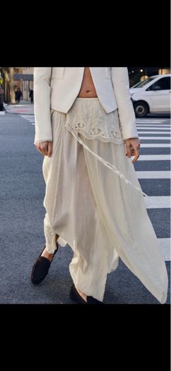 Zara skirt nwt