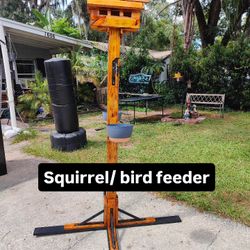 Squirrel / Bird Feeder 