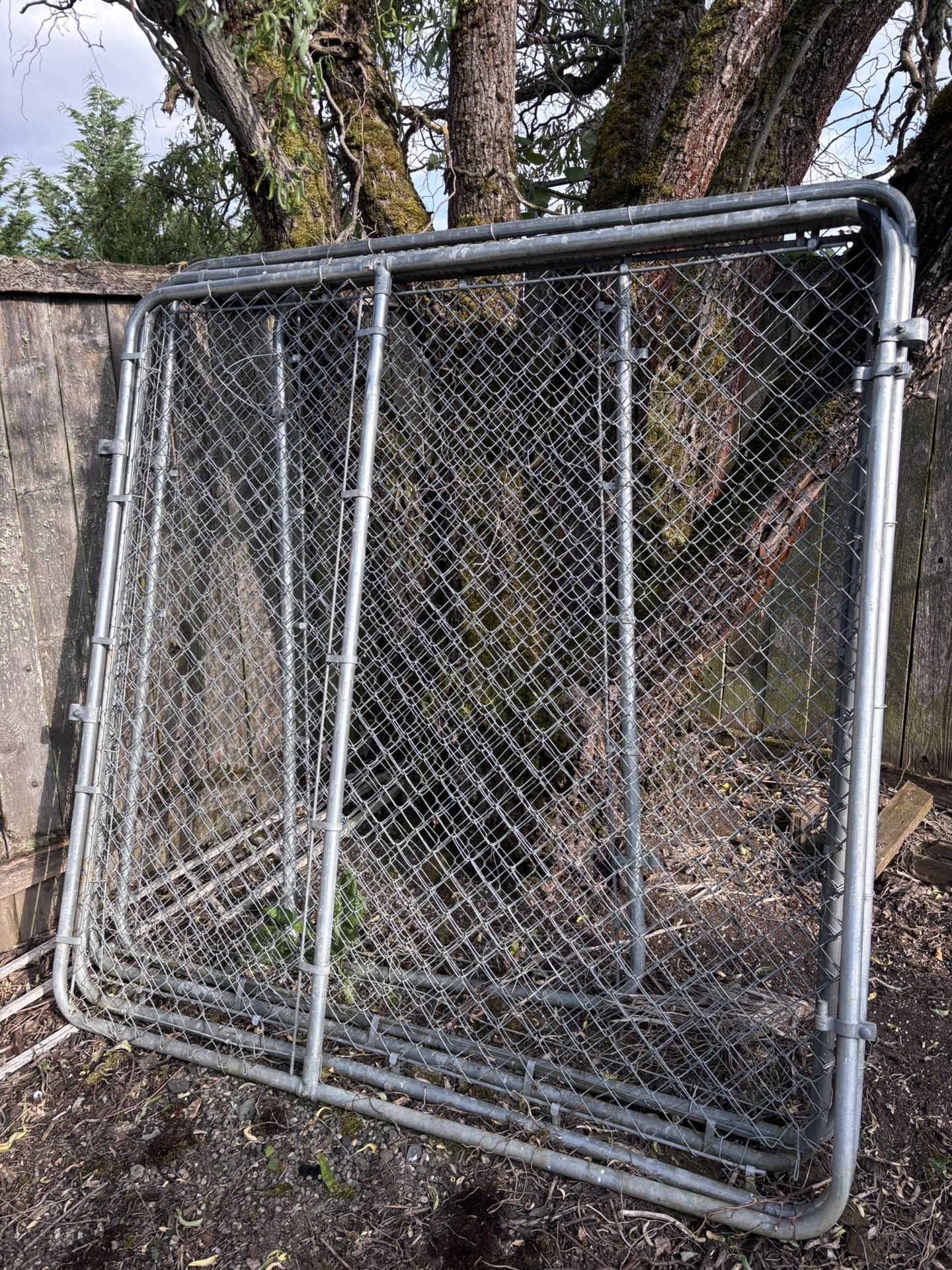 6’ X 6’ Dog Kennel With Gate