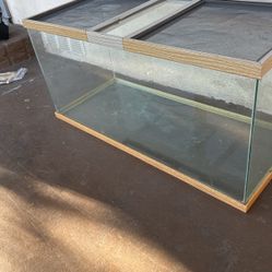 Terrarium For Small Pets